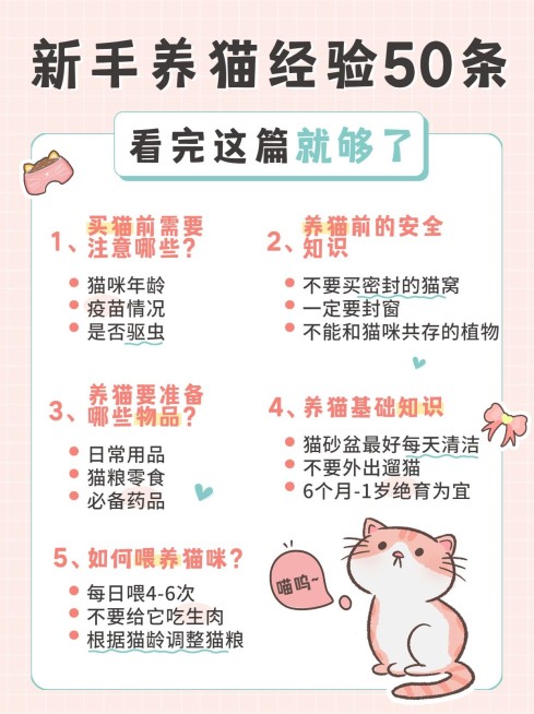 可爱萌宠知识科普小红书封面配图预览效果