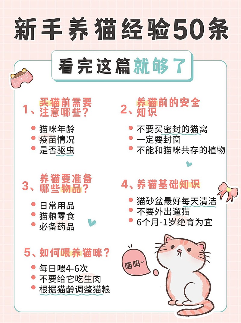 可爱萌宠知识科普小红书封面配图