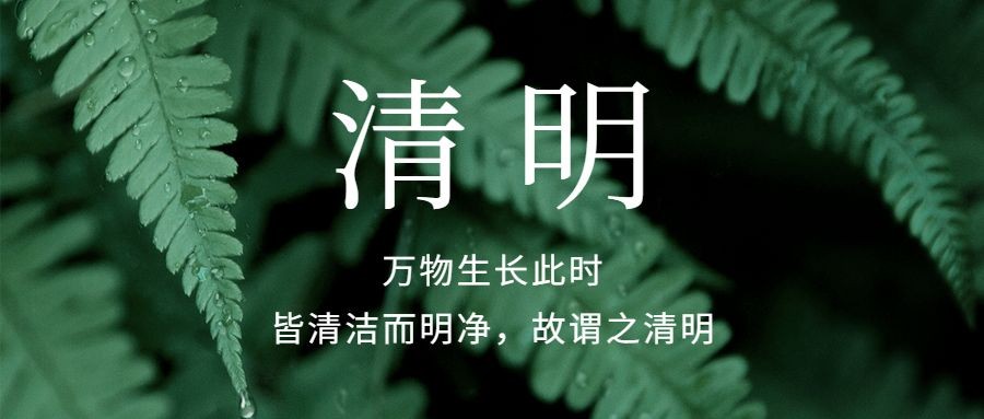 清明节春天追思实景公众号首图预览效果