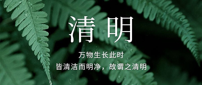 清明节春天追思实景公众号首图
