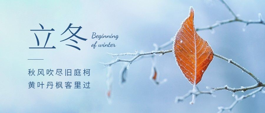立冬节气树枝实景特写祝福公众号首图预览效果