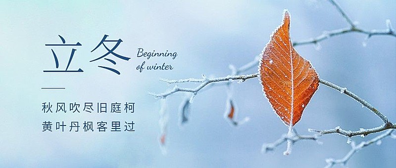立冬节气树枝实景特写祝福公众号首图