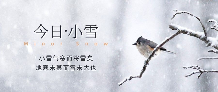 小雪节气祝福问候冬天实景公众号首图预览效果