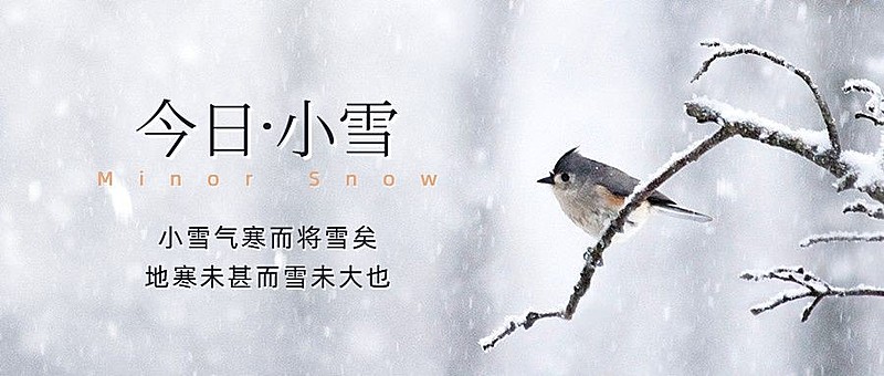 小雪节气祝福问候冬天实景公众号首图