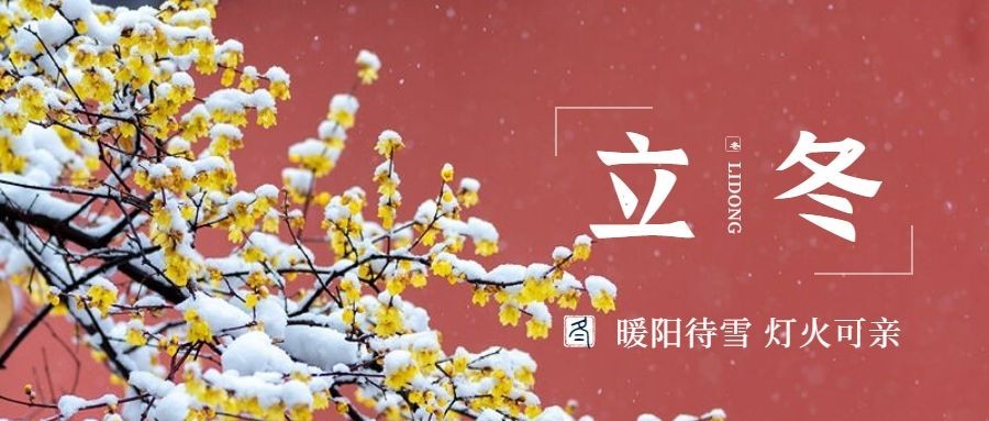 立冬节气全屏实景特写祝福公众号首图预览效果