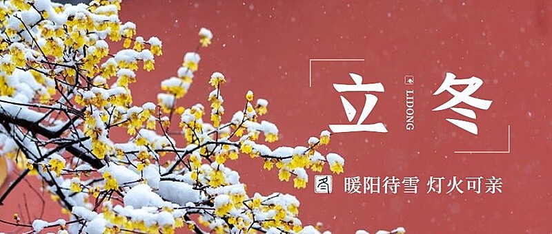 立冬节气全屏实景特写祝福公众号首图