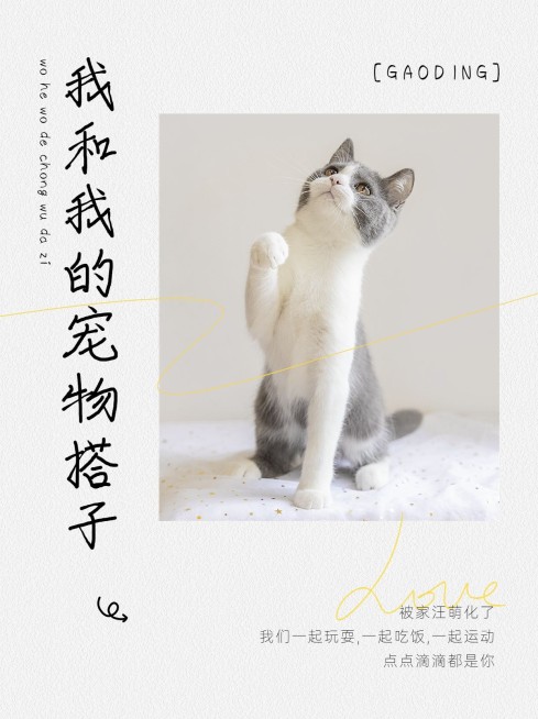 宠物晒图晒照小红书配图预览效果