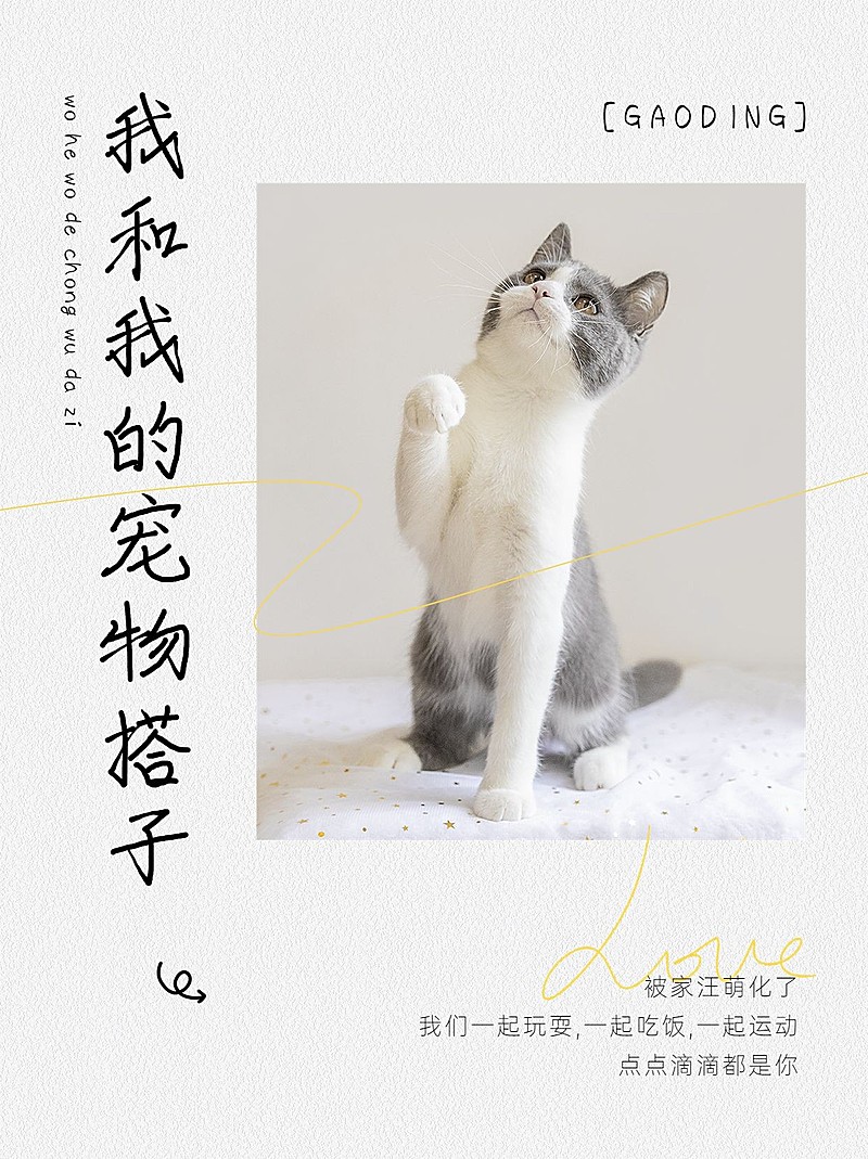 宠物晒图晒照小红书配图