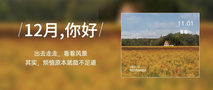 通用11月你好祝福实景简约公众号首图预览效果