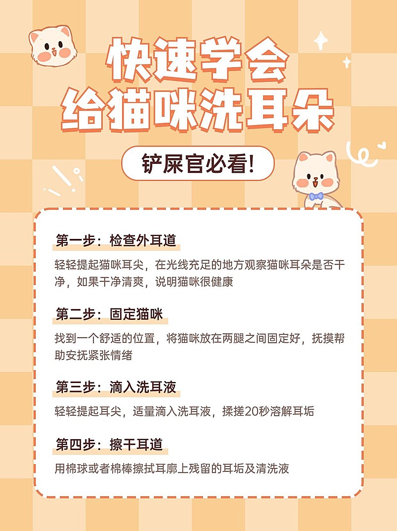 宠物饲养知识科普小红书配图