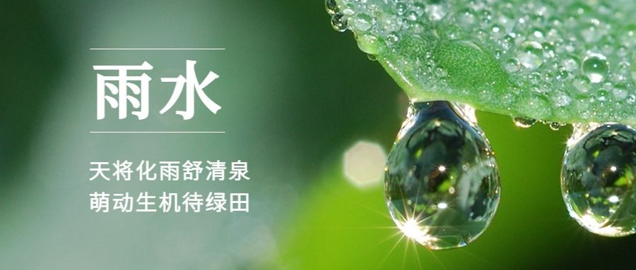 雨水节气祝福公众号首图实景水滴预览效果