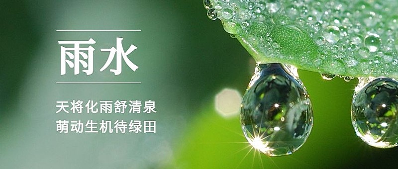 雨水节气祝福公众号首图实景水滴