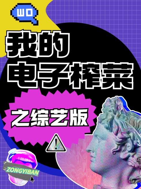 综艺节目推荐小红书封面配图预览效果