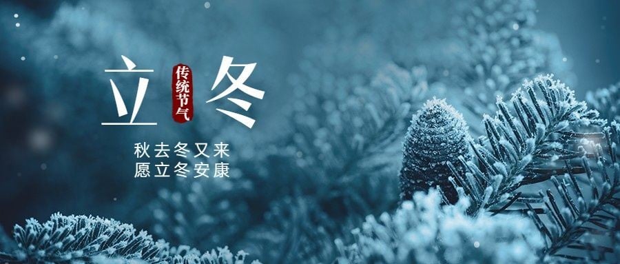 立冬节气植物特写合成实景公众号首图