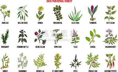 草药,背痛,自然,有机食品,健康保健,草本,药,有疣的,药丸,图像