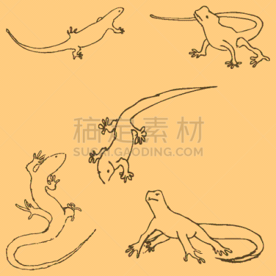 蜥蜴,草图,铅笔画,黑色,华丽的,缠结的,创造力,手写,复古