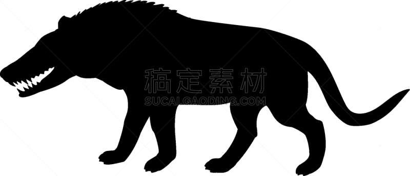 已灭绝生物,生物学,野生动物,侏罗纪,脊椎动物,始新世时代,哺乳纲,动物,爪,剪影