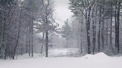 森林里的暴风雪被锁住了