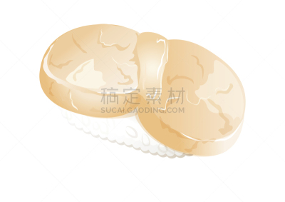 寿司,矢量,绘画插图,扇贝,白色,寿司店,白色背景,海产,清新