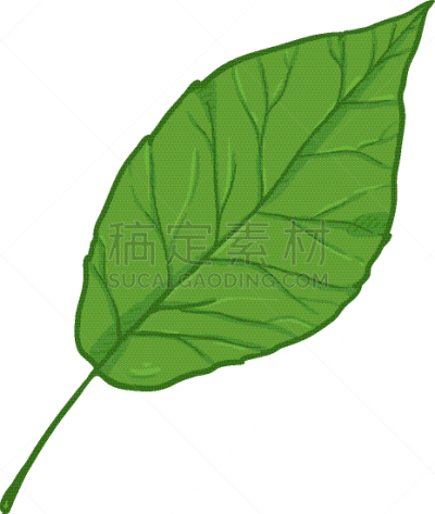 cartoon - green leaf poplar