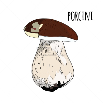 Porcini Mushroom,动物手,可爱的,蔬菜,清新,食品,草,美味牛肝菌,绘制,复古