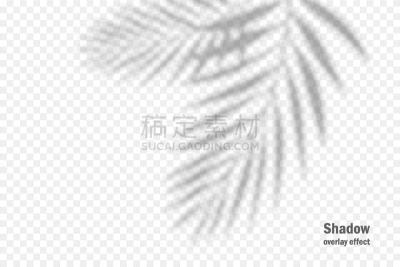 阴影,植物,图像特效,多层效果,透明,枝,叶子,矢量,柔和,自然