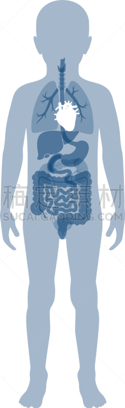 分离着色,人类心脏,生物学,男孩,商务,健康保健,人,图表,男人,生病