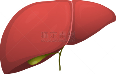 健康保健,平坦的,肝脏,生物学,素食,结论,环境,食品,写实