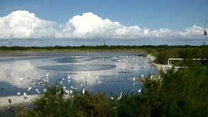 湿地和天空的风景