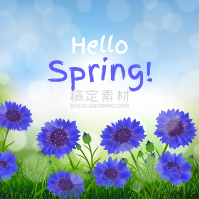 文字,背景虚化,矢车菊,自然,运动模糊,蓝盆花,母亲节,闪亮,爱,装饰