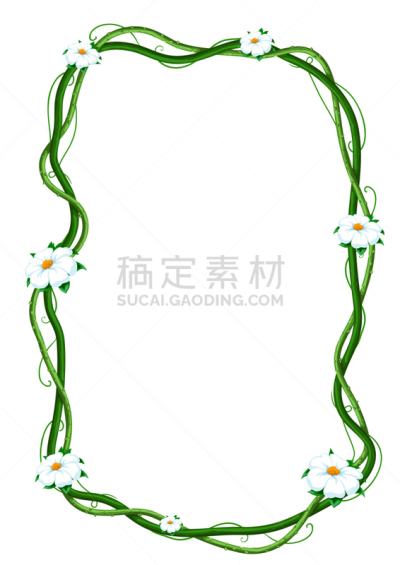 有蔓植物,热带雨林,枝,野生植物,藤蔓植物,边框,环境,野生动物,植物群,缠绕