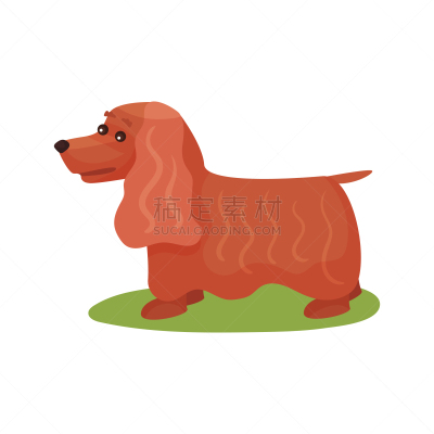 宠物,狗,英格兰,动物,可爱的,纯种犬,图像,巴哥犬