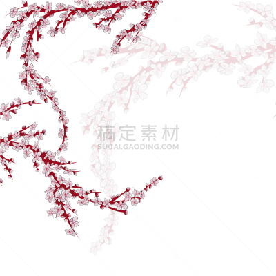 樱桃,枝,日本,樱之花,白色,亚洲,创造力,自然,写实,庆祝