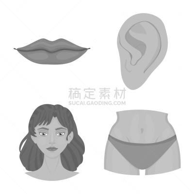 部分,标志,动物躯干,灰色,肚子,莫诺湖,嘴唇,耳蜗,收集,设计