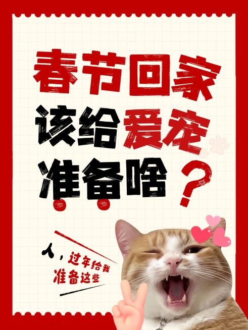 春节节日营销趣味感小红书封面预览效果