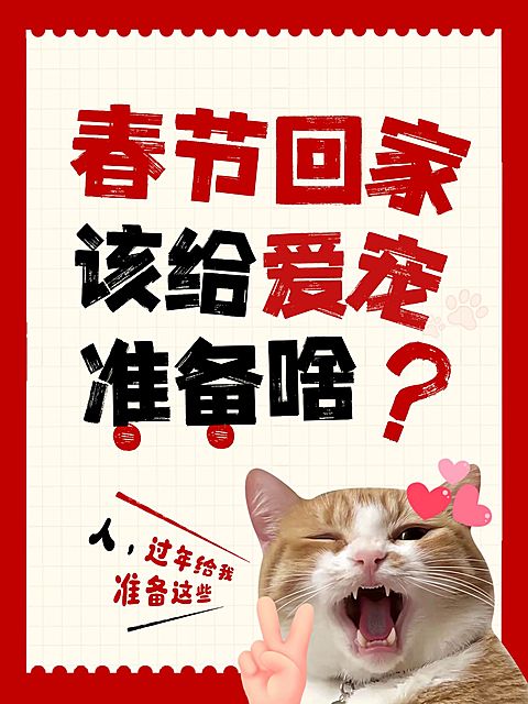 春节节日营销趣味感小红书封面