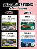模板缩略图