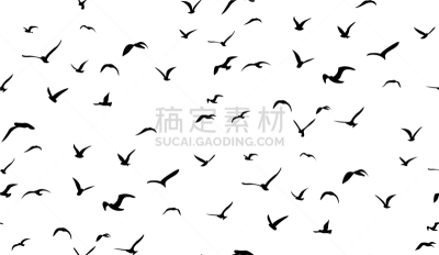 四方连续纹样,形状,白色,黑色,纺织品,式样,自然,野生动物,图像,飞