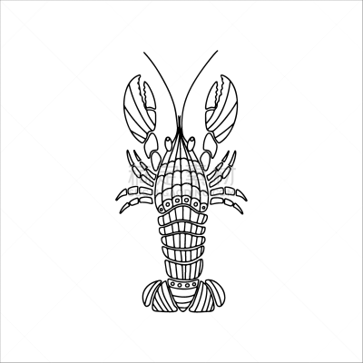 品牌名称,龙虾,绘画插图,矢量,动物手,分离着色,高雅,白色背景,乱画,绘制