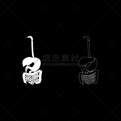 人类消化系统,白色,扁平化设计,图标集,食道,胆囊,胃,阑尾,直肠,空肠