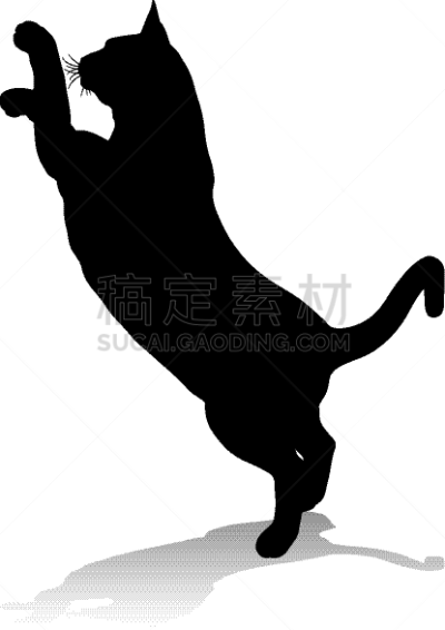 猫,宠物,动物,活力,可爱的,动物主题,背景分离,野生动物,英国,哺乳纲