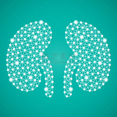 分离着色,黑色背景,人类肾脏,白色,生物学,健康保健,人,矢量,肾脏,生病