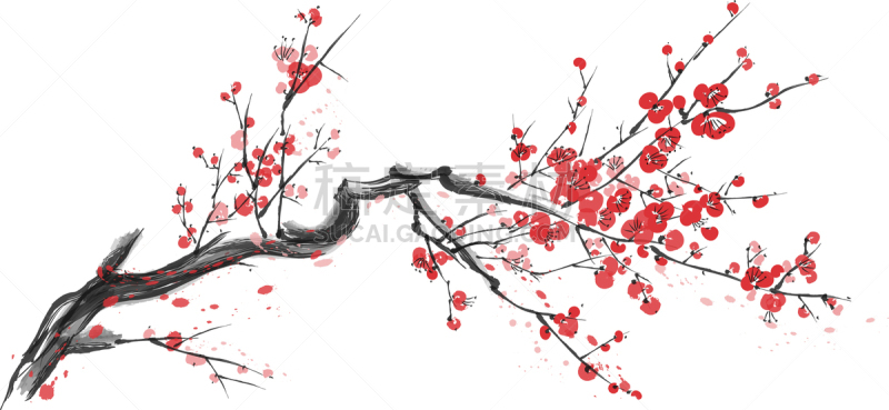 白色,分离着色,樱之花,花朵,东方人,季节,夏天,春天,华丽的,写实