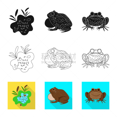 野生动物,分离着色,藓沼,图标,一个物体,生物学,有毒物质,环境,青蛙,动物