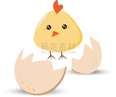 卡通,分离着色,可爱的,白色,黄色,自然,图像,性格,动物,鸟类