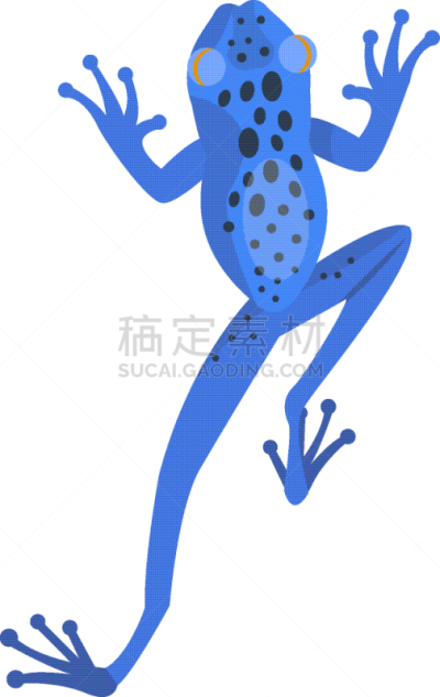 青蛙,动物,鸡尾酒,自然,蓝色,卡通,可爱的,环境,野生动物,坐