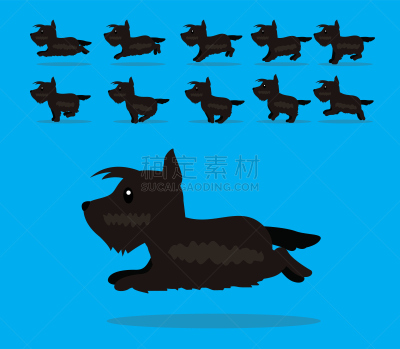 卡通,连续性,苏格兰粗毛猎狐犬,狗,矢量,动物,可爱的,活力,宠物