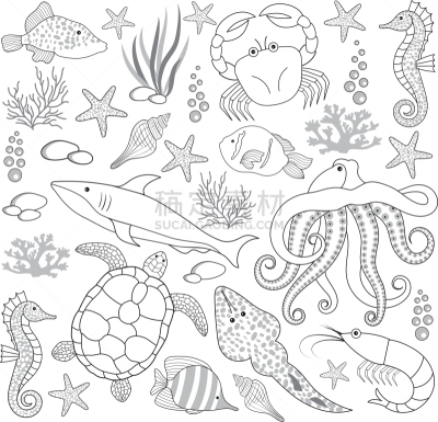 海洋生命,分离着色,可爱的,自然,图像,海洋,海星,海马,自然美,收集
