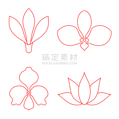 白色背景,线条画,轮廓,白色,有机食品,自然,兰花,概念,花,布置