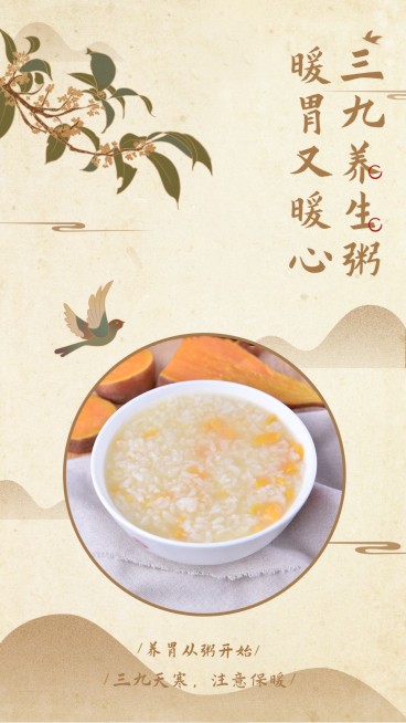 三九养生产品展示传统古风预览效果